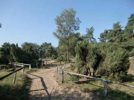 Schermbeck : Impressionen aus dem Naturschutzgebiet Loosenberge